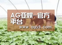 种植基地三