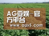 种植基地五
