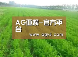 种植基地四