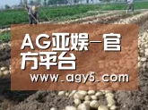 种植基地七(图1)