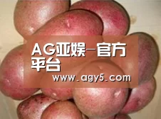 产品展示标题1