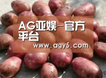 产品展示标题5(图1)