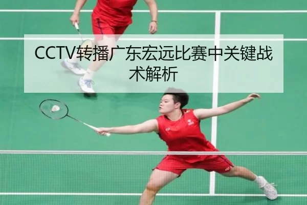 CCTV转播广东宏远比赛中关键战术解析