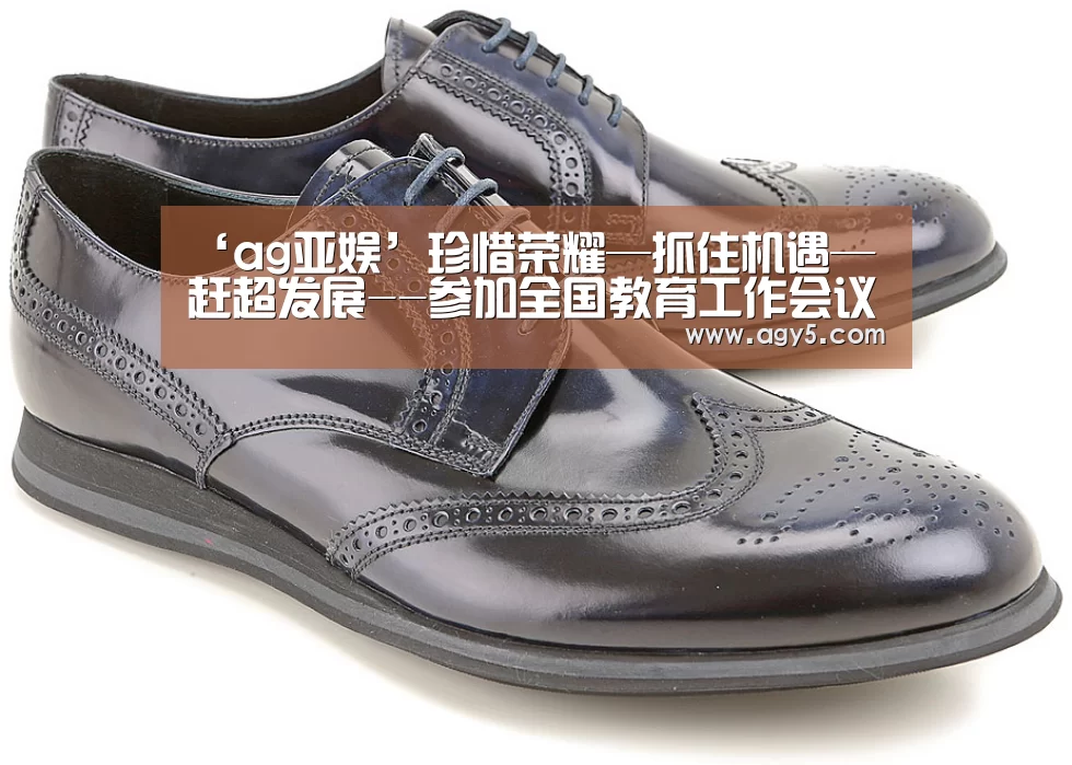 ‘ag亚娱’珍惜荣耀—抓住机遇—赶超发展--参加全国教育工作会议体会与感想(图3) ag官网